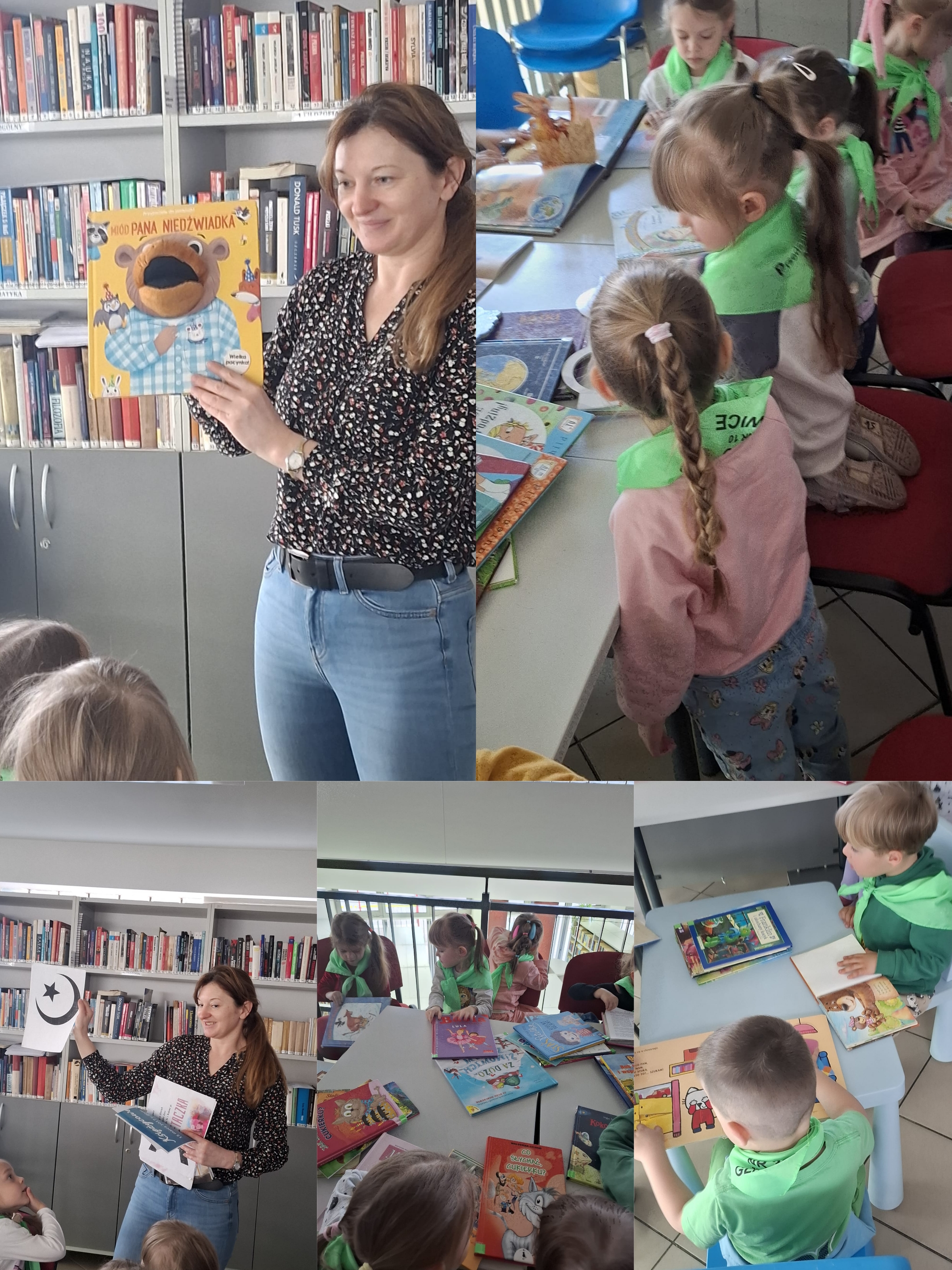 biblioteka wiewiorek